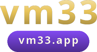 vm33 logo